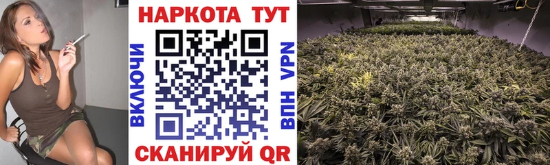 Где продают наркотики Кашира ссылка на мегу маркетплейс  ГАШИШ  Бошки Шишки  Cocaine  Alpha-PVP 