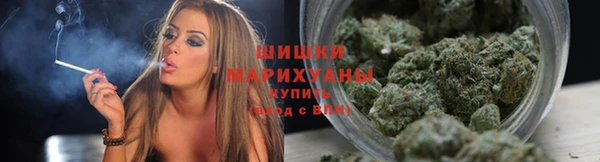 эйфоретик Надым