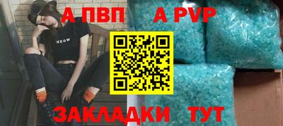 PSILOCYBIN Гатчина