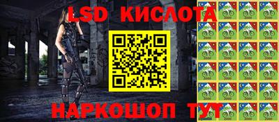 ECSTASY Гай