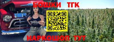 тгк Гатчина