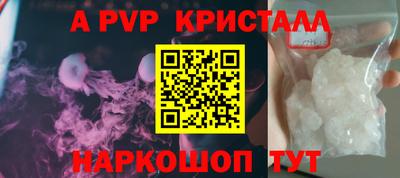 ECSTASY Гай