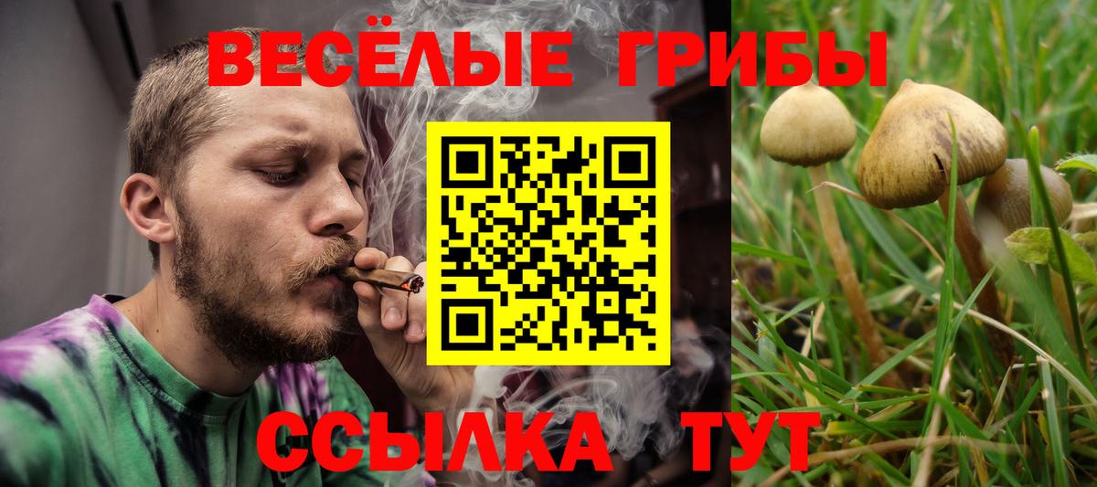 Псилоцибиновые грибы Magic Shrooms Кашира