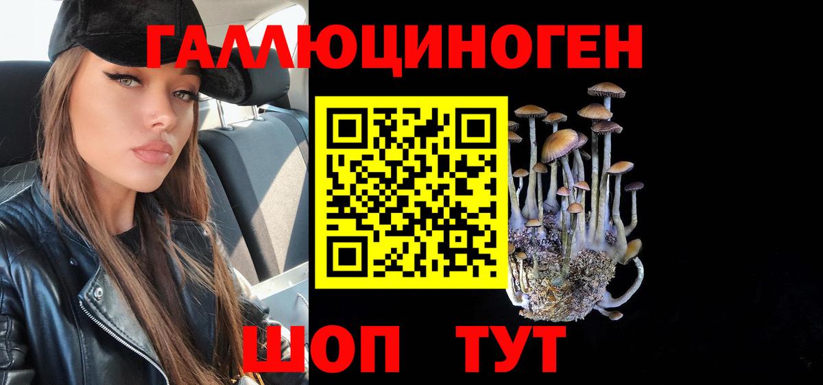 Галлюциногенные грибы Psilocybine cubensis Кашира