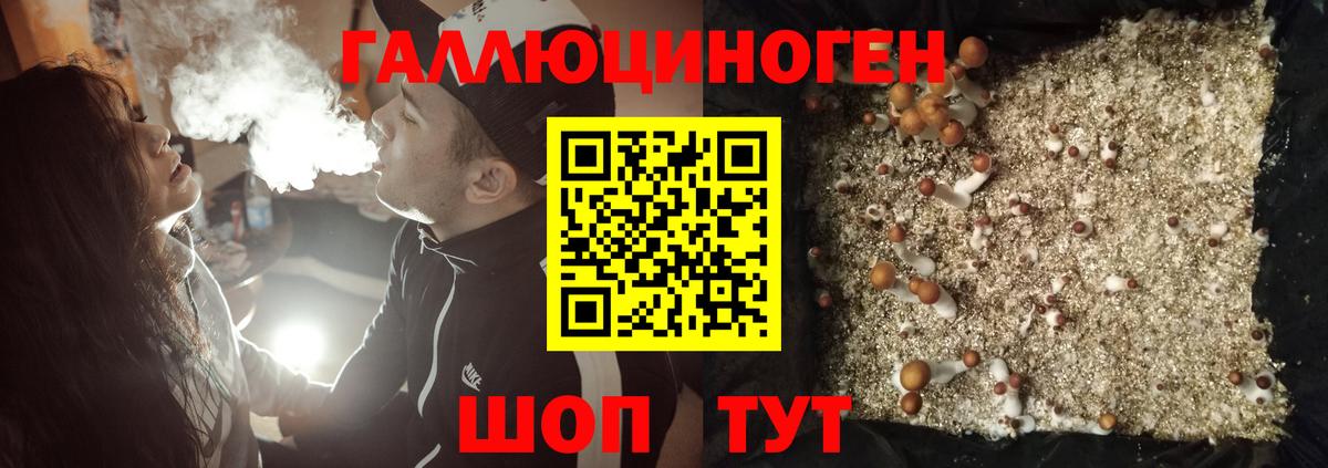 Галлюциногенные грибы ЛСД  наркотики  Псилоцибиновые грибы прущие грибы  Кашира  Вход с VPN 